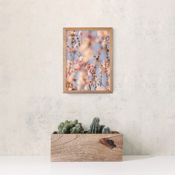 Blooms Online