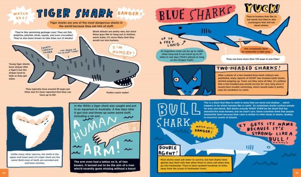 Everything Awesome About Sharks Fashion - Image 3